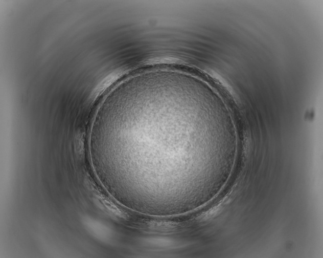 X0000090740921200707271421