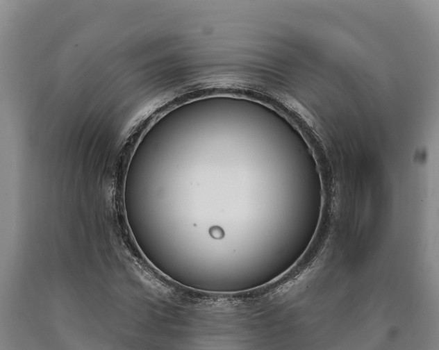 X0000090740922200707271421