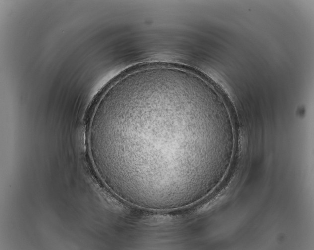 X0000090740925200707271421