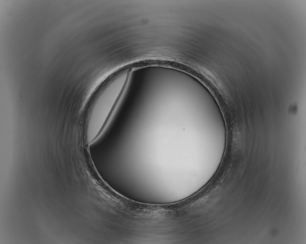 X0000090740926200707271421