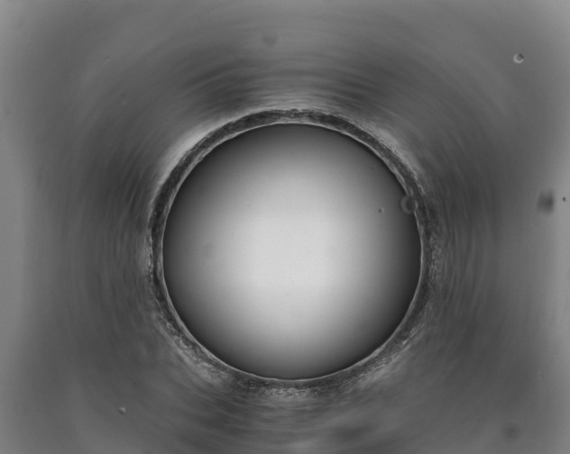 X0000090740927200707271421