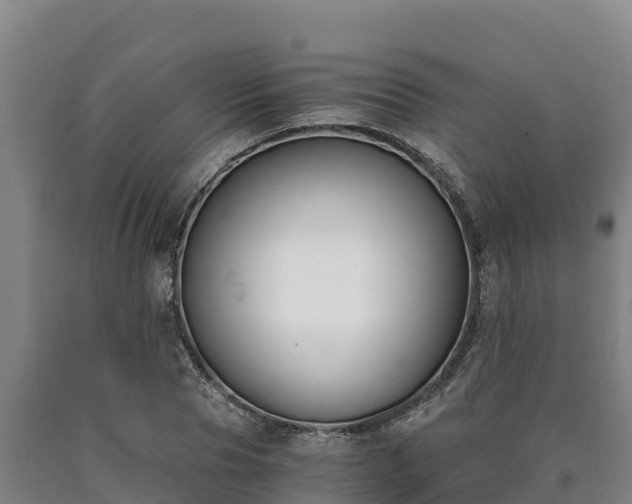 X0000090740929200707271421