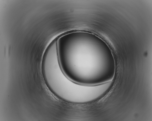 X0000090740932200707271421