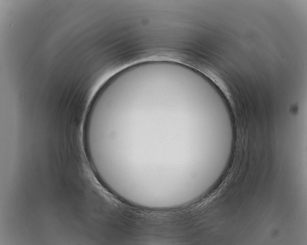 X0000090740936200707271421