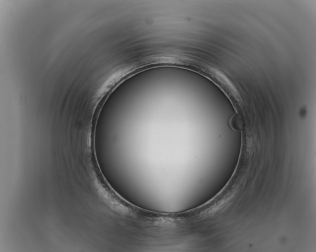 X0000090740938200707271421