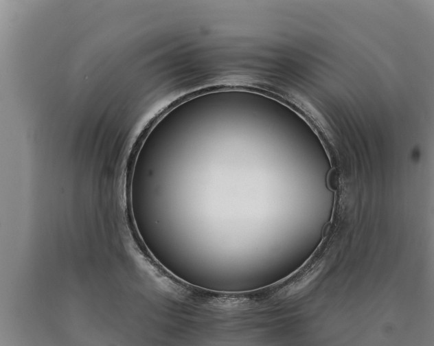 X0000090740939200707271421