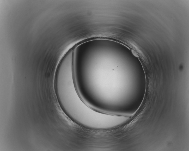 X0000090740940200707271421