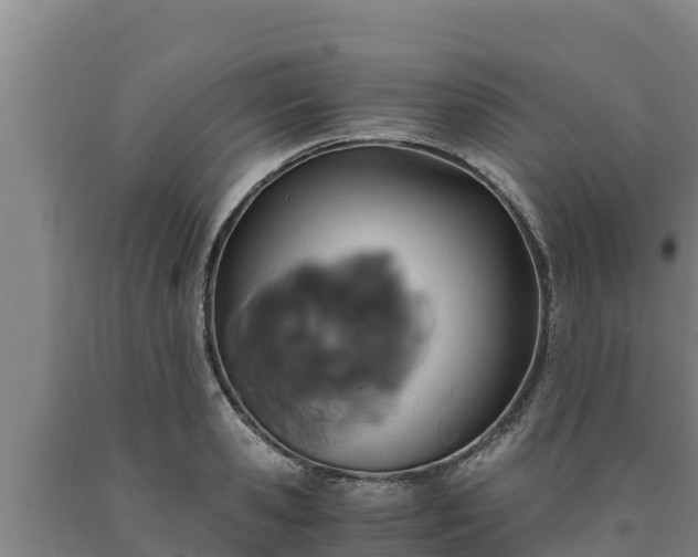 X0000090740941200707271421