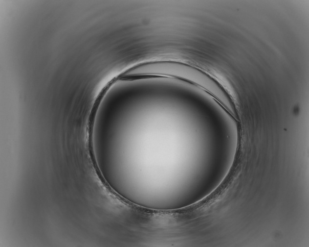 X0000090740944200707271421
