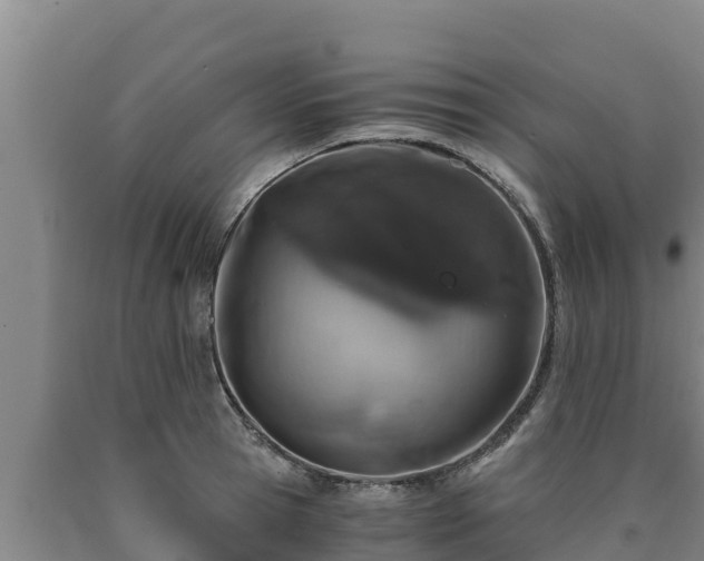 X0000090740945200707271421