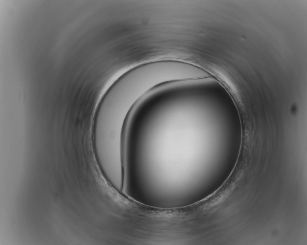 X0000090740948200707271421