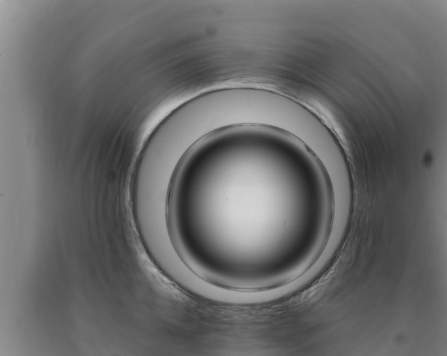 X0000090740952200707271421