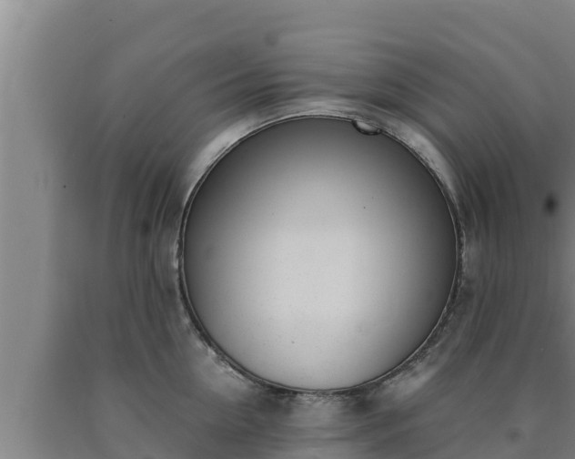 X0000090740954200707271421