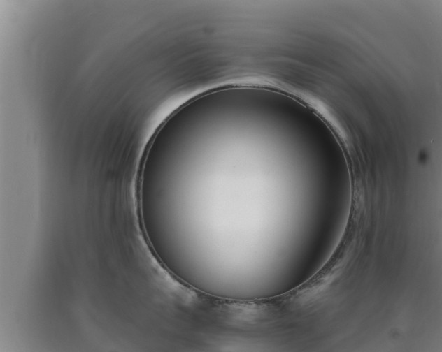 X0000090740959200707271421