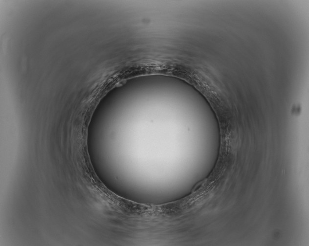 X0000090740961200707271421