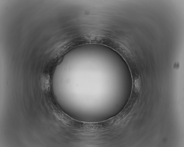 X0000090740963200707271421