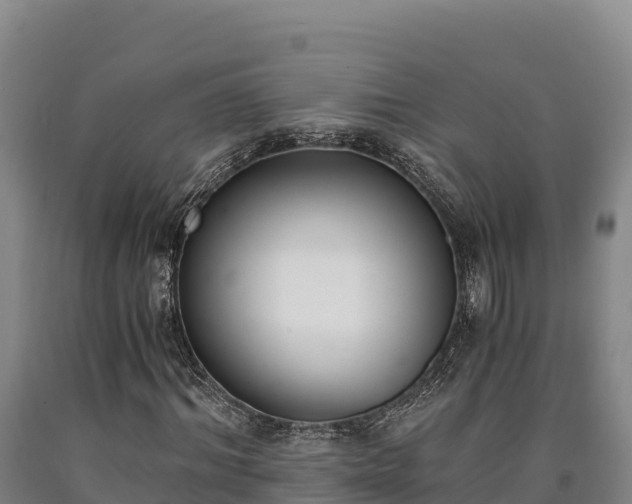 X0000090740964200707271421