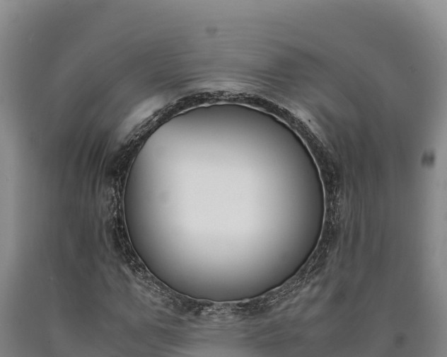 X0000090740967200707271421