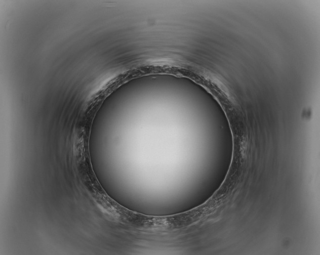 X0000090740968200707271421