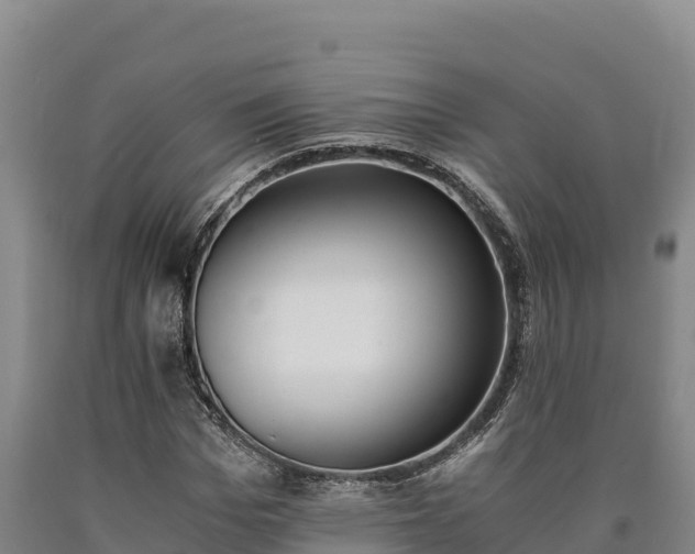 X0000090740969200707271421
