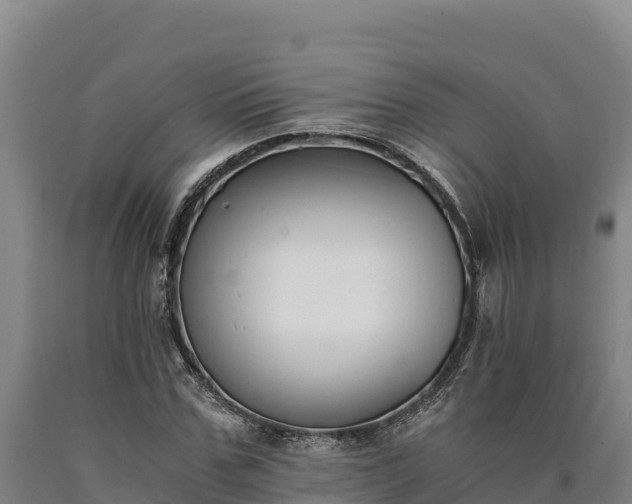 X0000090740971200707271421
