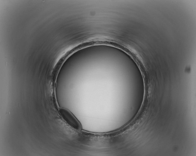 X0000090740973200707271421