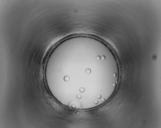 X0000090740974200707271421