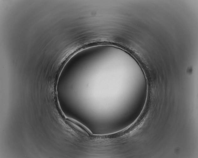 X0000090740977200707271421