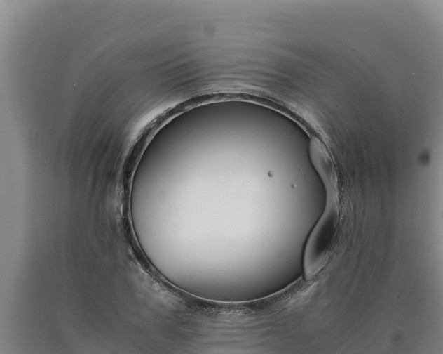 X0000090740979200707271420