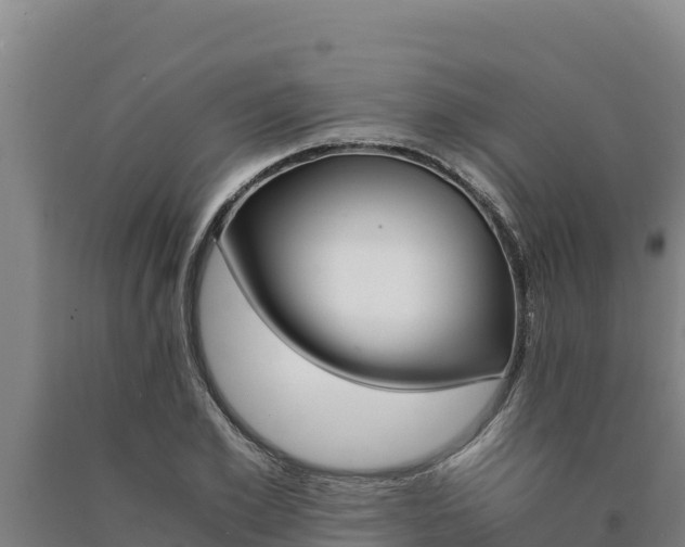 X0000090740981200707271420
