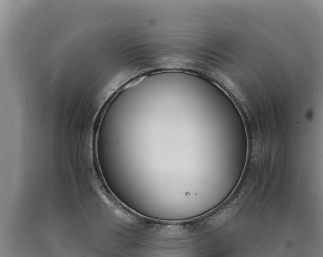 X0000090740986200707271420