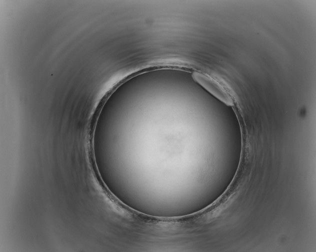 X0000090740989200707271420