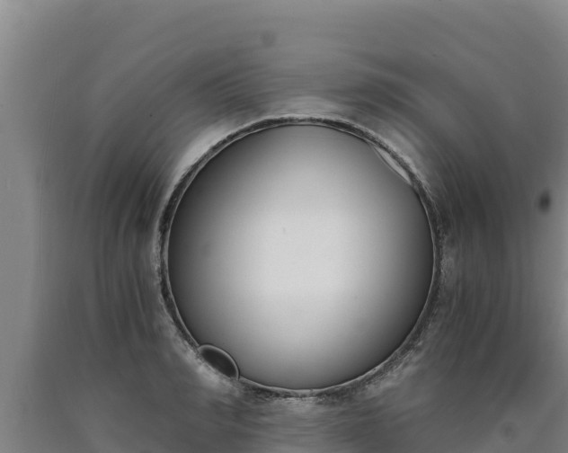 X0000090740990200707271420