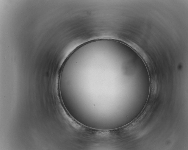 X0000090741006200707271420