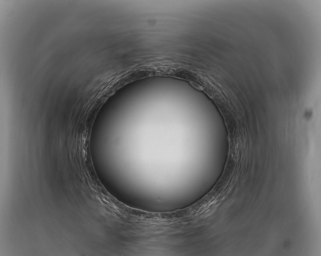 X0000090741010200707271420