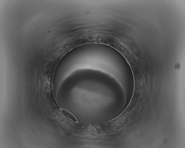 X0000090741013200707271420
