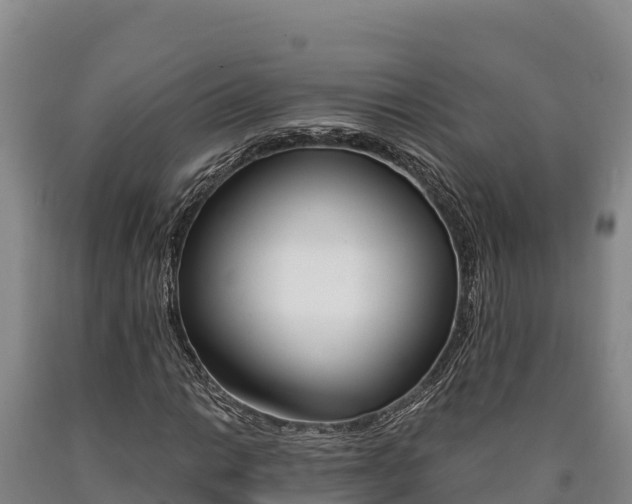 X0000090741014200707271420