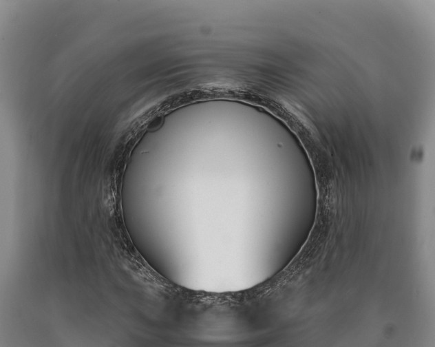 X0000090741015200707271420