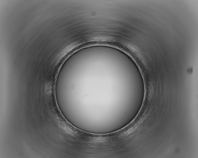 X0000090741017200707271420