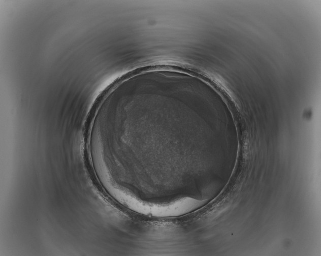 X0000090741024200707271420