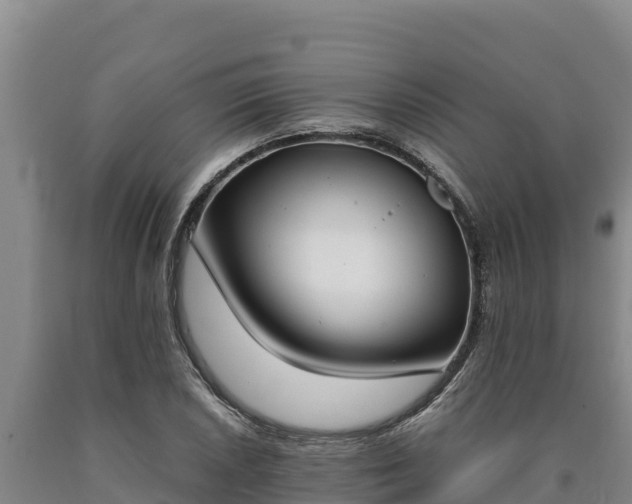 X0000090741026200707271420