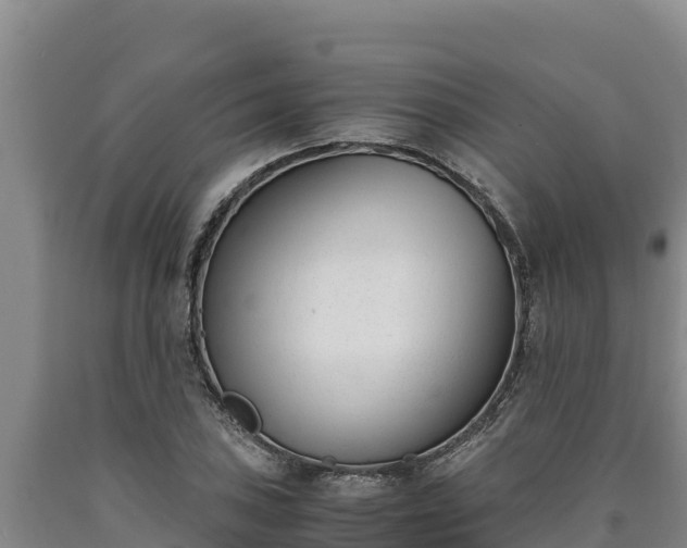 X0000090741027200707271420