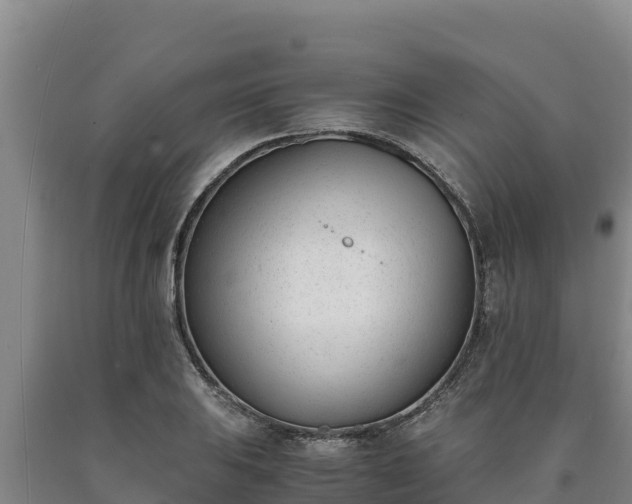 X0000090741031200707271420
