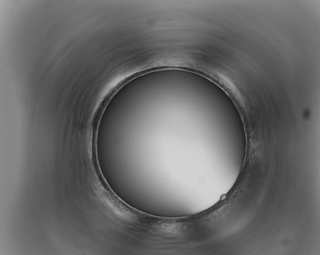 X0000090741035200707271420