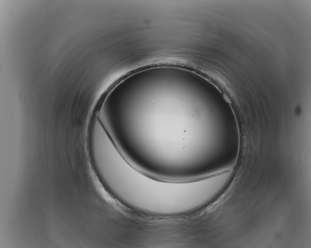 X0000090741038200707271420