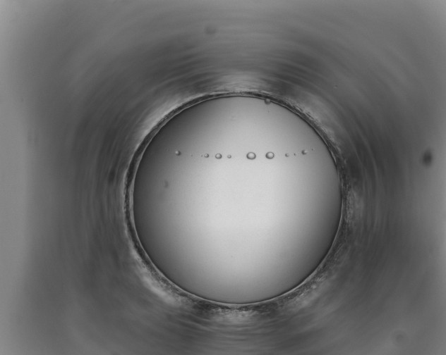 X0000090741039200707271420