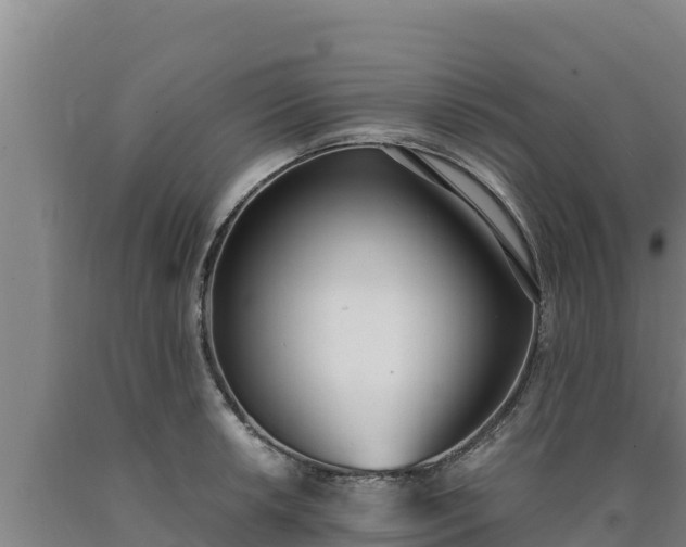 X0000090741042200707271420