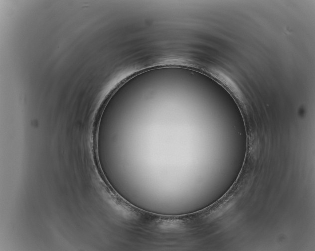 X0000090741043200707271420
