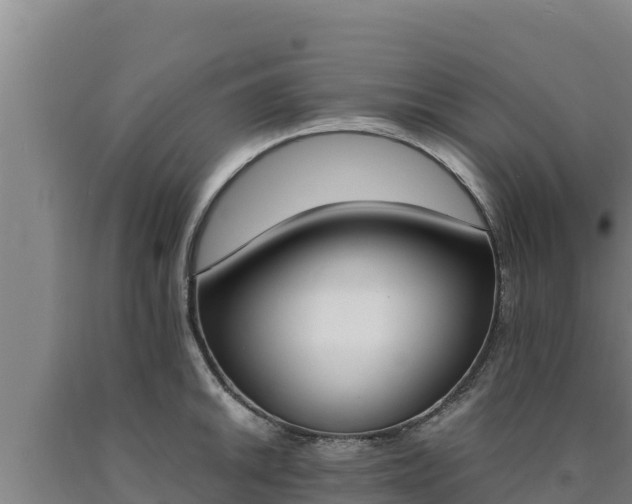 X0000090741046200707271420