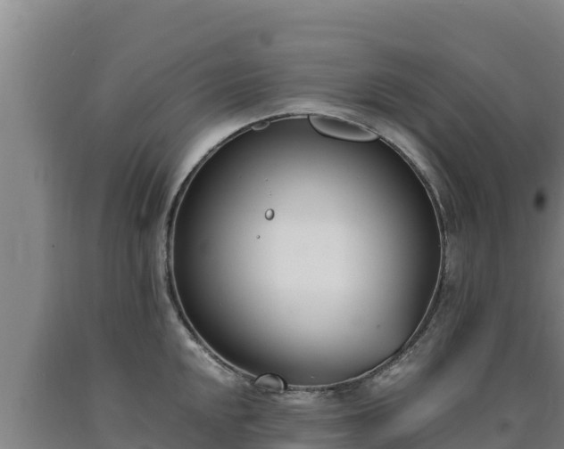 X0000090741048200707271420